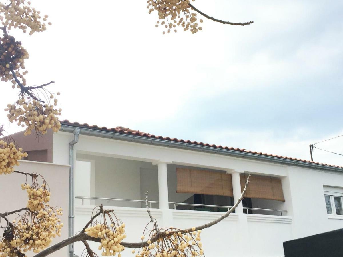 Apartman Luce Apartment Bibinje Ngoại thất bức ảnh